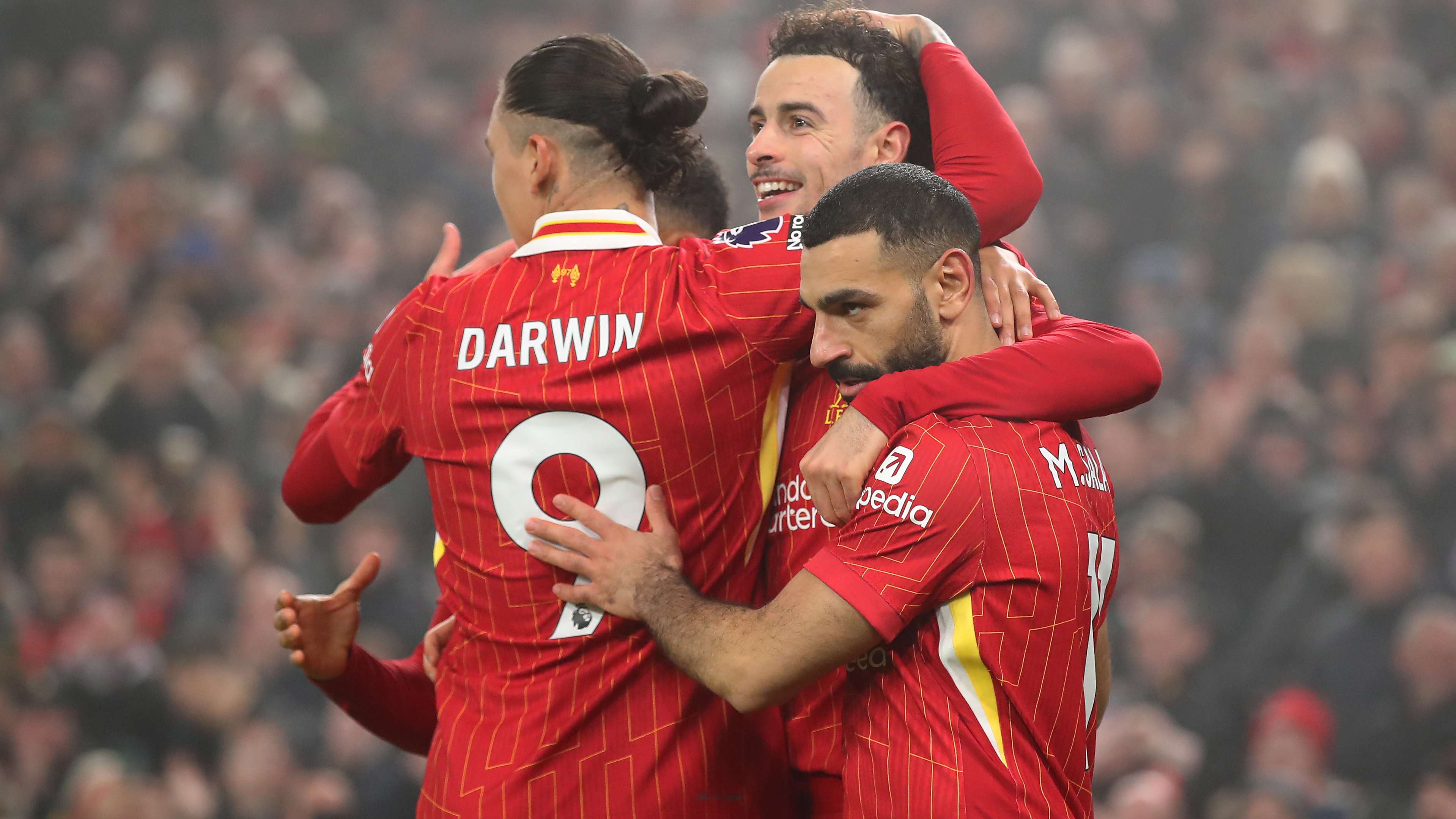 本届杯赛数 本届杯赛数